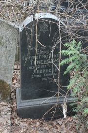 Левинсон Елена Ефимовна, Москва, Востряковское кладбище