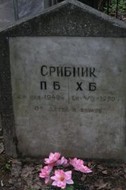 Скрибник П. Б., Москва, Востряковское кладбище
