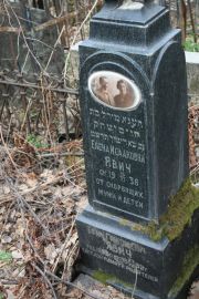 Явич Елена Исааковна, Москва, Востряковское кладбище