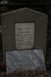 Шераношер-Беркович Лея Зельмановна, Москва, Востряковское кладбище