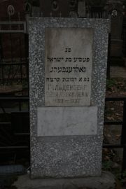 Гольденберг Песя Израилевна, Москва, Востряковское кладбище