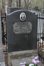 Песина Ася Соломоновна, Москва, Востряковское кладбище