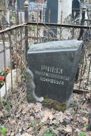 Шпак Давид Николаевич, Москва, Востряковское кладбище
