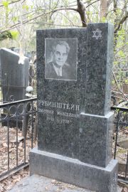 Рубинштейн Дмитрий Моисеевич, Москва, Востряковское кладбище