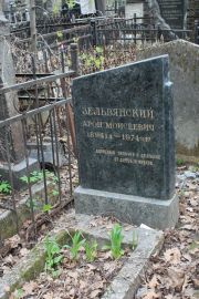Зельвянский Арон Моисеевич, Москва, Востряковское кладбище