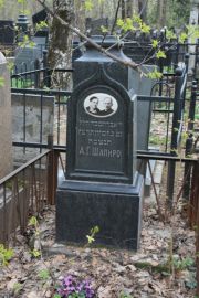Шапиро А. Г., Москва, Востряковское кладбище