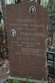 Шапиро Мордко-Лейб Аронович, Москва, Востряковское кладбище