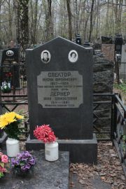 Спектор Нусим Фроймович, Москва, Востряковское кладбище