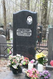 Спектор Раиса Нусимовна, Москва, Востряковское кладбище