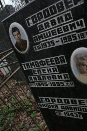 Гордовер Давид Амшеевич, Москва, Востряковское кладбище
