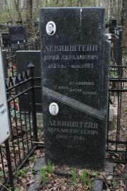 Левинштейн Юрий Авраамович, Москва, Востряковское кладбище