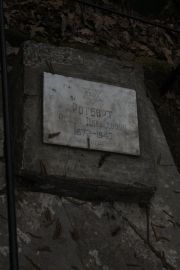 Ротбарт Рейзл Давыдовна, Москва, Востряковское кладбище