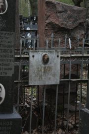 Парижер Вера Ивановна, Москва, Востряковское кладбище