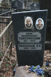 Теверовский наум Бенционович, Москва, Востряковское кладбище