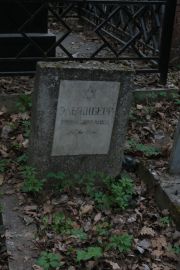 Эльяшберг Рейза Яковлевна, Москва, Востряковское кладбище