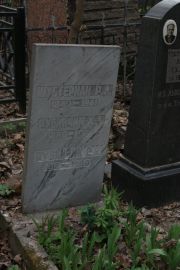 Рубинчик Х. Л., Москва, Востряковское кладбище
