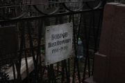 Бобров Шоул Наумович, Москва, Востряковское кладбище
