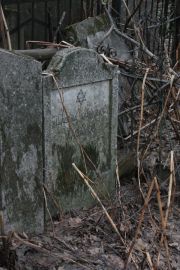 Хазанов Шлейма Хаимович, Москва, Востряковское кладбище