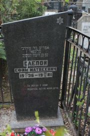 Слепой Ефим Матвеевич, Москва, Востряковское кладбище