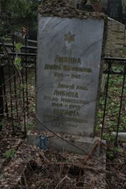 Либина Двейра Израилевна, Москва, Востряковское кладбище