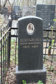 Шагалова мария Моисеевна, Москва, Востряковское кладбище