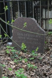 Шимкович Шейна Верковна, Москва, Востряковское кладбище