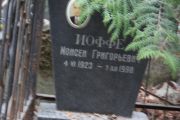 Иоффе Моисей Григорьевич, Москва, Востряковское кладбище