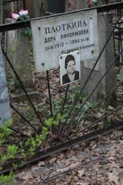 Плоткина Дора Афроимовна, Москва, Востряковское кладбище