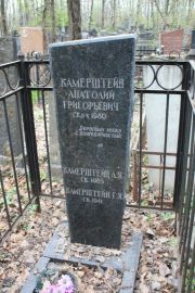 Камерштейн Анатолий Григорьевич, Москва, Востряковское кладбище