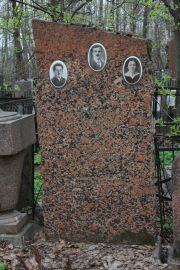 Элинсон  , Москва, Востряковское кладбище