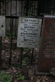Цитрон Исаак Григорьевич, Москва, Востряковское кладбище