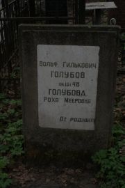 Голубов Вольф Гилькович, Москва, Востряковское кладбище