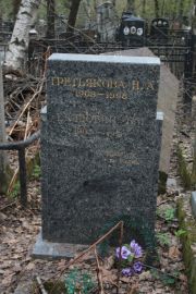 Третьякова Н. А., Москва, Востряковское кладбище