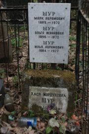 Шур Марк Абрамович, Москва, Востряковское кладбище