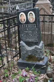 Блейхер Эммануил Моисеевич, Москва, Востряковское кладбище