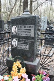 Виткин Давид Александрович, Москва, Востряковское кладбище