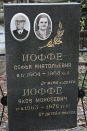 Иоффе Софья Анатольевна, Москва, Востряковское кладбище