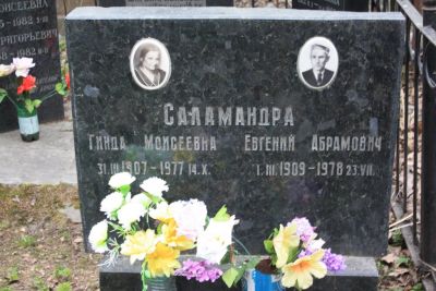 Саламандра Евгений Абрамович