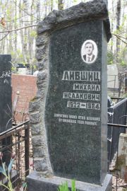 Лившиц Михаил Исаакович, Москва, Востряковское кладбище