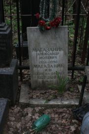 Магазаник Александр Иолевич, Москва, Востряковское кладбище