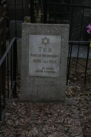Тев Моисей Иосифович, Москва, Востряковское кладбище