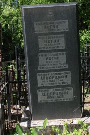 Шварцман Иосиф Давыдович, Москва, Востряковское кладбище
