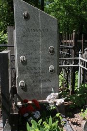 Липкин Илья Семенович, Москва, Востряковское кладбище