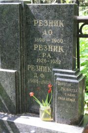 Резник Д. Ф., Москва, Востряковское кладбище