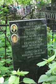 Пригожин Мендель Лейбович, Москва, Востряковское кладбище