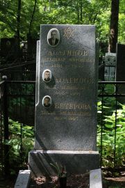 Долгинов Александр Миронович, Москва, Востряковское кладбище