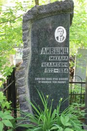 Лившиц Михаил Исаакович, Москва, Востряковское кладбище