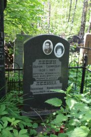 Лесин Абрам Ефимович, Москва, Востряковское кладбище