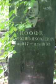 Иоффе Анатолий Яковлевич, Москва, Востряковское кладбище