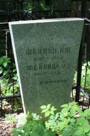 Шейнин Ц. Ш., Москва, Востряковское кладбище